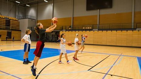Basket Camps 2018VPR1R7VD.jpg