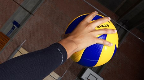 volleyball-bold-haand-dgi.jpg