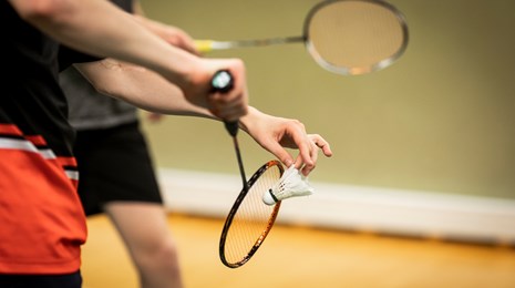 Badminton - Roar Paaske.jpg