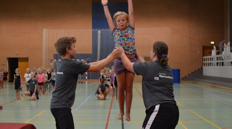 Gymnastikskole i Billund