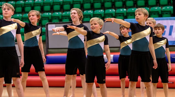 Gymnastikopvisning af landsdelshold drenge.jpg