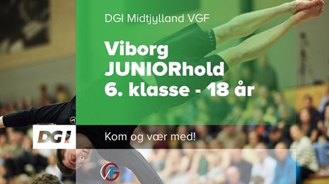 Viborg Juniorhold (1)