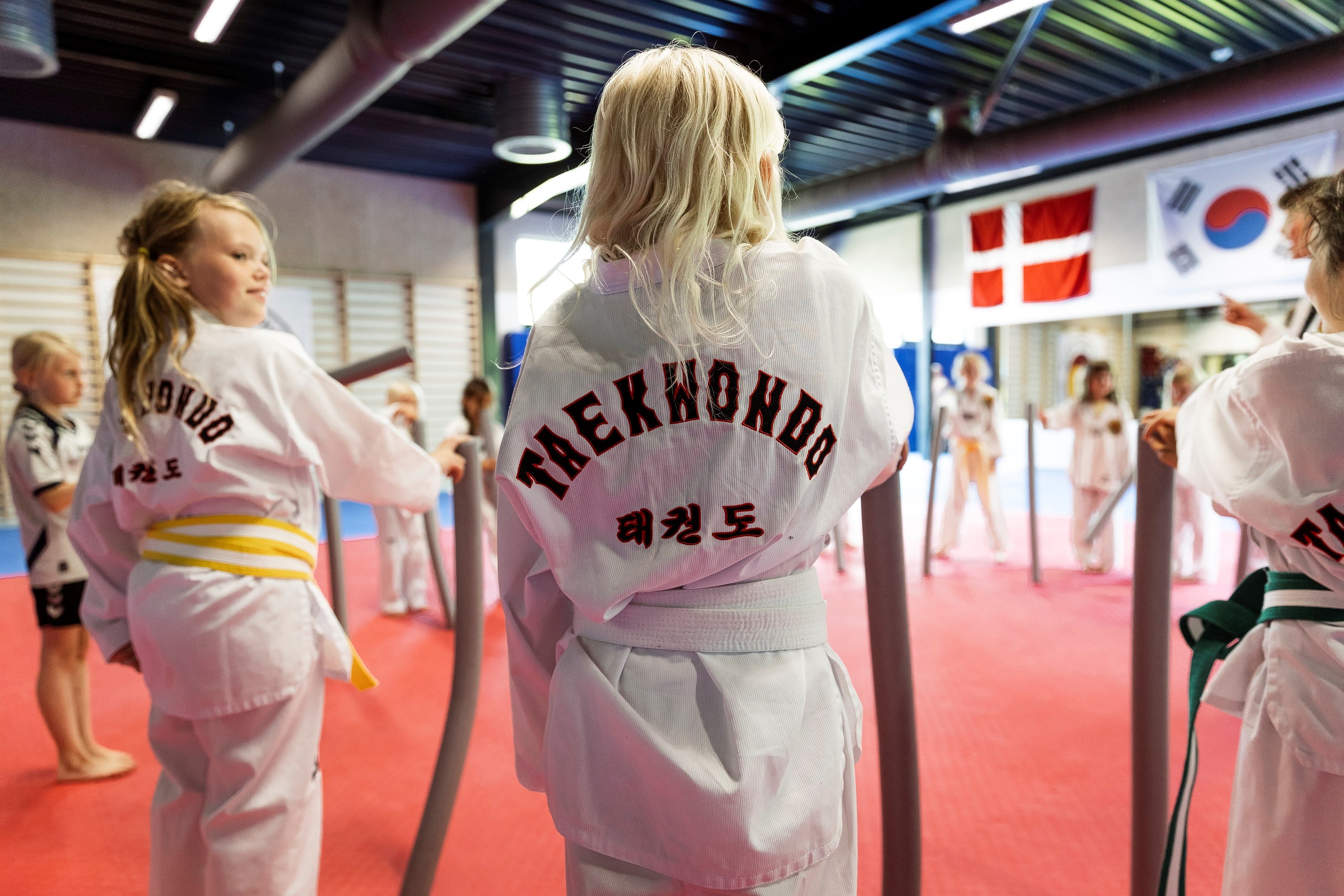 favrskov taekwondo 8.jpg