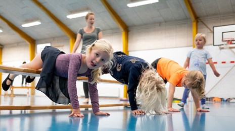 Forældre - barn - puslinge - gymnastik 2021..jpg