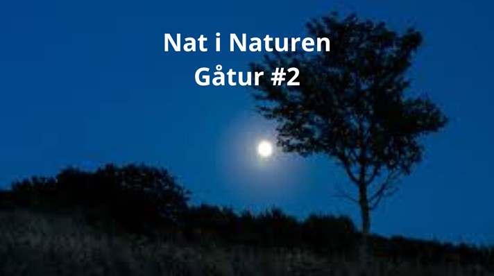 Nat i naturen #2