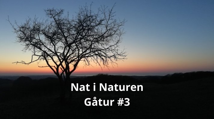 Nat i naturen #3