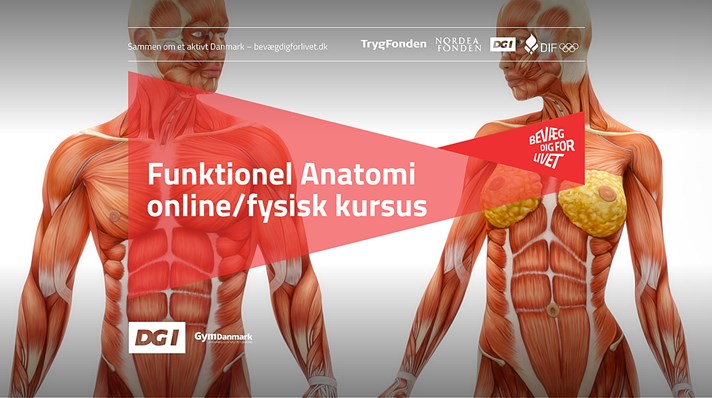 Funktionel Anatomi